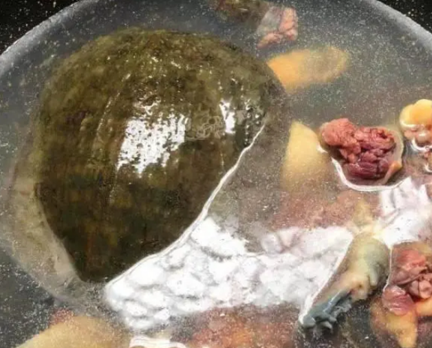 最简单的清炖甲鱼汤做法 最简单的清炖甲鱼汤做法