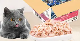 皇家搭档猫罐头怎么样?不妨来看看吧 皇家搭档猫罐头怎么样?不妨来看看吧