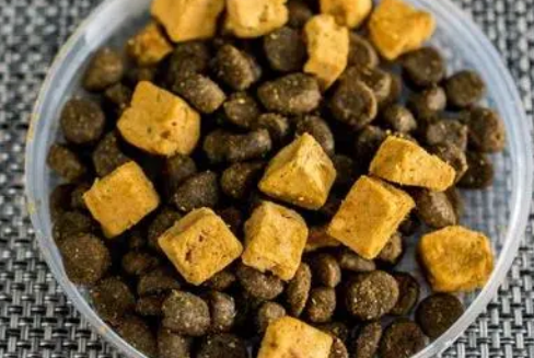 奇鲜猫粮好不好？想知道的看过来
