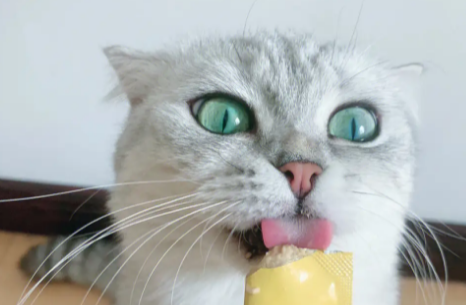 麦斯蒂猫条成分表
