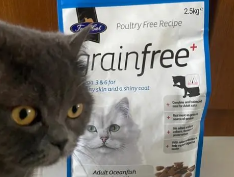 FUSSYCAT猫粮怎么样?你知道吗? FUSSYCAT猫粮怎么样?你知道吗?