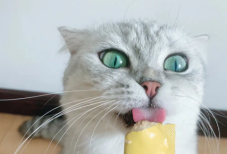 麦斯蒂猫条好吗