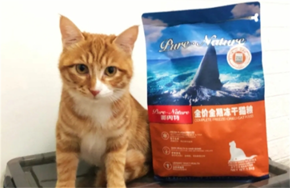 派内特猫粮怎么拿代理 派内特猫粮怎么拿代理