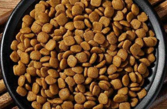 可尔宠物食品——专业加盟,让爱宠健康更轻松 可尔宠物食品——专业加盟,让爱宠健康更轻松