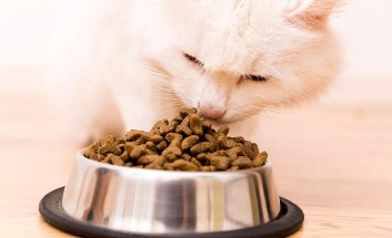 迈莱迪猫粮怎么样 迈莱迪猫粮怎么样