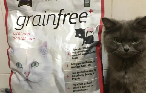FUSSYCAT猫粮怎么样?你知道吗? FUSSYCAT猫粮怎么样?你知道吗?