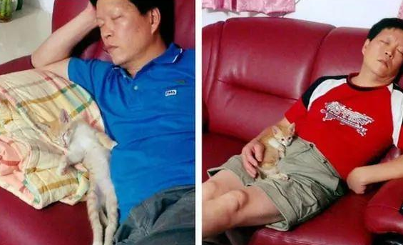 爸爸威胁:你敢养猫就睡楼梯!结果...... 爸爸威胁:你敢养猫就睡楼梯!结果......