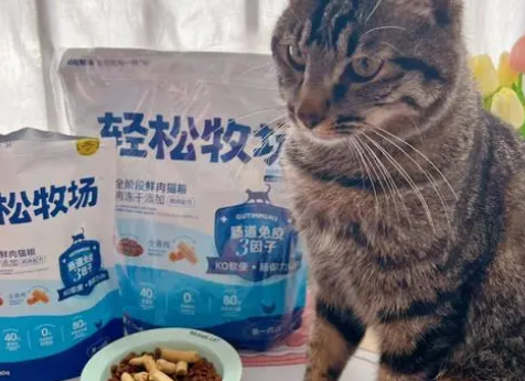 轻松牧场猫粮好不好？来看看吧