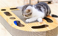 猫咪为什么不能随便耍玩具