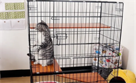 猫笼子怎么折叠啊