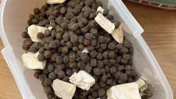 霍格猫粮：为猫咪提供全方位健康体验的优质食品