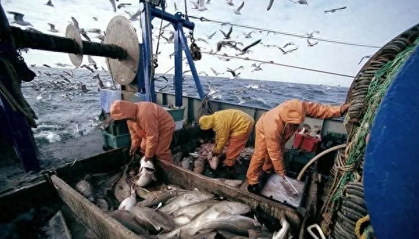如果人类因为核污染摒弃海鲜，海洋生物会不会泛滥成灾？