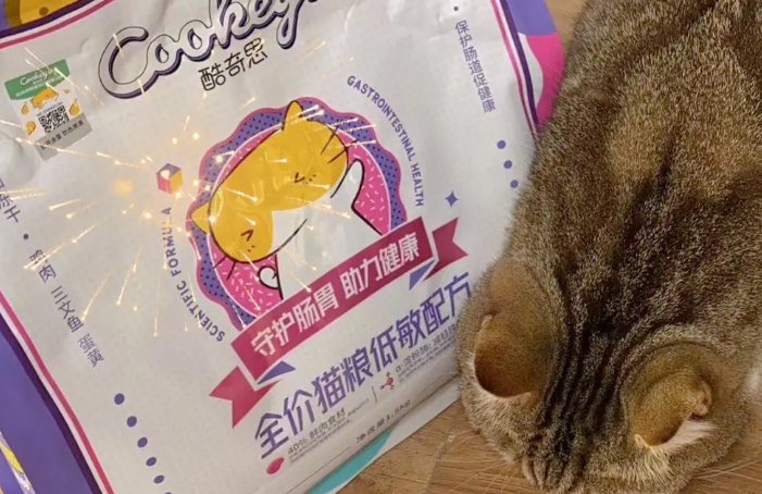 酷奇思猫粮怎么样?看这篇文章就知道了 酷奇思猫粮怎么样?看这篇文章就知道了