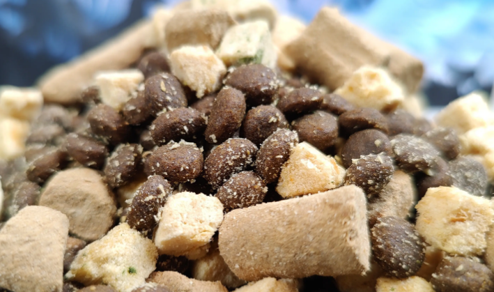 豆柴：用肠胃健康理念升级宠物食品