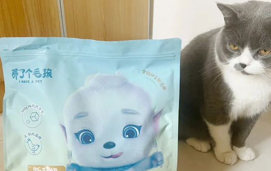 养了个毛孩猫粮怎么样？来看看吧