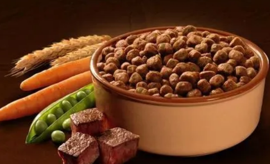 丰尚宠物食品好不好?来了解下吧 丰尚宠物食品好不好?来了解下吧
