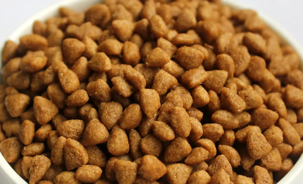 蓝馔猫粮:美味与健康的完美结合 蓝馔猫粮:美味与健康的完美结合