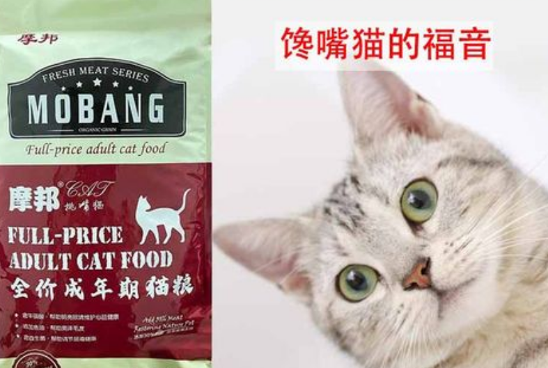 摩邦猫粮多少钱