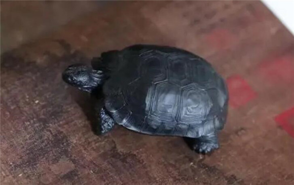 为什么只有墨龟才能镇宅