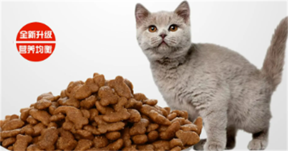 迈莱迪猫粮:让喵星人享受健康美味的饮食新选择 迈莱迪猫粮:让喵星人享受健康美味的饮食新选择