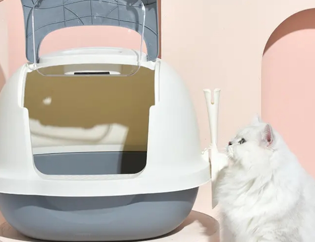 littepets猫砂盆怎么样？想知道的来了解下吧