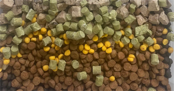 纽贝恩：品牌力与卓越质量的完美结合
