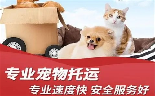 华众宠物托运