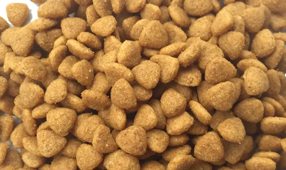 够派狗粮好不好吃，怎么喂食？