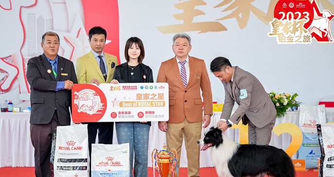 皇家杯铂金之旅圆满落幕,助推宠物繁育事业迈上新台阶 皇家杯铂金之旅圆满落幕,助推宠物繁育事业迈上新台阶