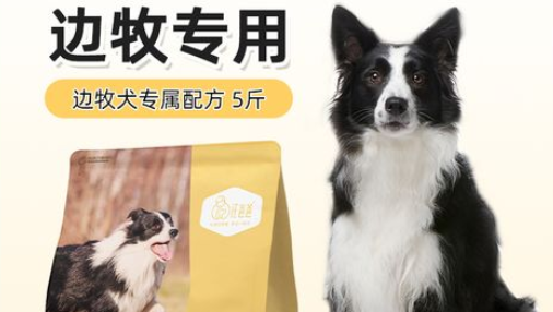 边牧狗粮挑选标准是什么