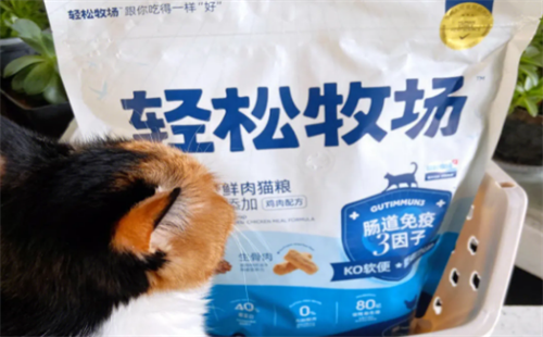 轻松牧场