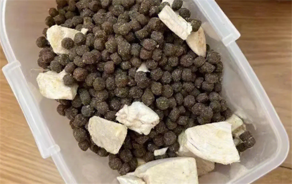纽贝恩：品牌力与卓越质量的完美结合