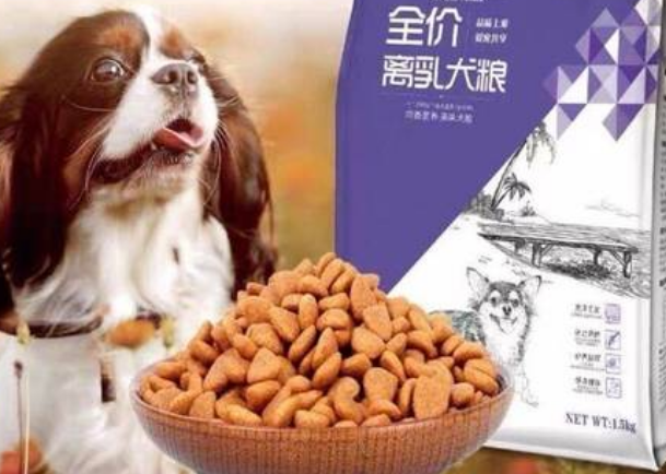 得麦斯狗粮好吗 得麦斯狗粮好吗