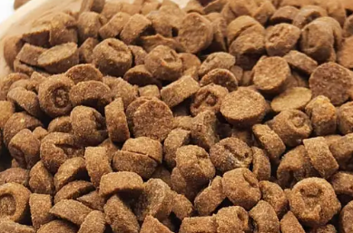 灵动猫粮好不好?来看看吧 灵动猫粮好不好?来看看吧