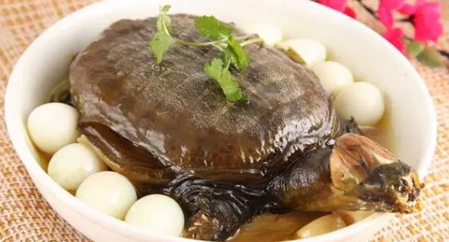 甲鱼做法大全菜谱 甲鱼做法大全菜谱