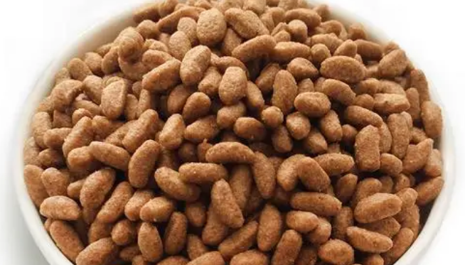 凯恩特猫粮:美味与营养的结合 凯恩特猫粮:美味与营养的结合