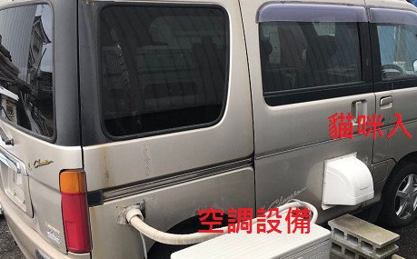 土豪用废车为流浪猫打造房车! 土豪用废车为流浪猫打造房车!