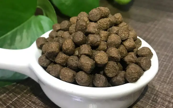菲斯美猫粮质量