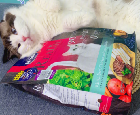 卫塔卡夫猫粮测评:自然与健康的完美结合 卫塔卡夫猫粮测评:自然与健康的完美结合