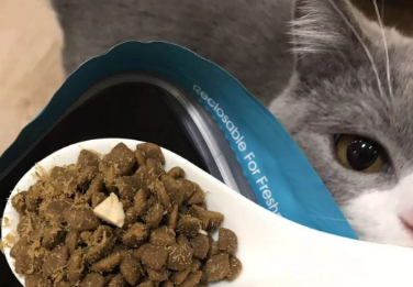 皇家公爵猫粮有没有吃出问题的
