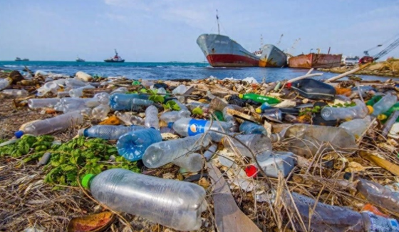 人类每年制造大量的塑料垃圾，有没有进化出可以分解塑料的生物？