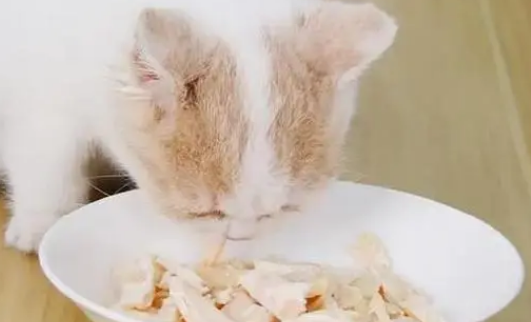 麦斯蒂鸡胸肉猫咪能吃吗