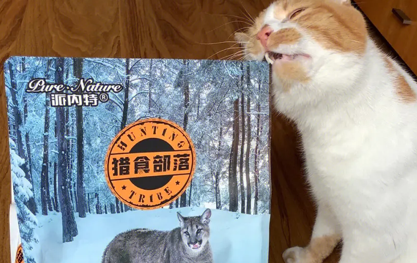 派内特猫粮怎么样