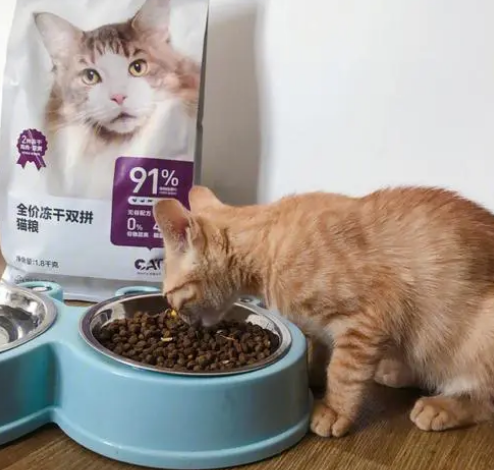 什么牌子的猫粮好 什么牌子的猫粮好