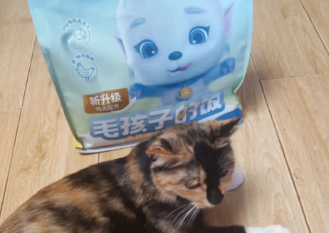 养了个毛孩猫粮怎么样？来看看吧