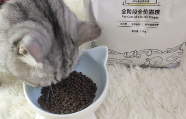 皇家公爵全价全期通用猫粮怎么样 皇家公爵全价全期通用猫粮怎么样