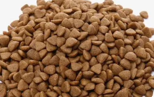 艾顿狗狗粮质量如何 艾顿狗狗粮质量如何