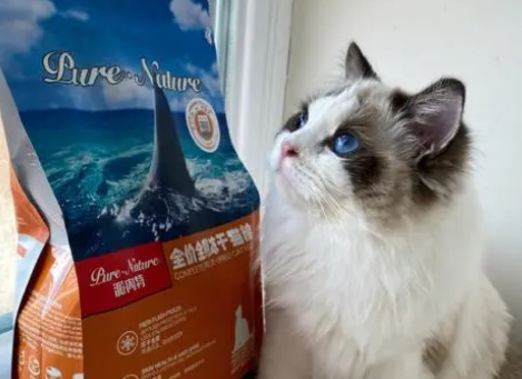 派内特猫粮好不好？一文告诉你