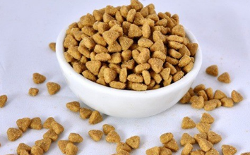 皇家公爵猫粮和皇家猫粮是一个吗 皇家公爵猫粮和皇家猫粮是一个吗