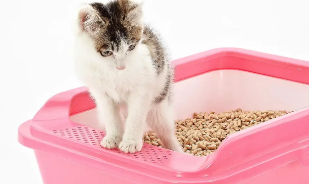 蛮果宠物mango猫砂盆如何？